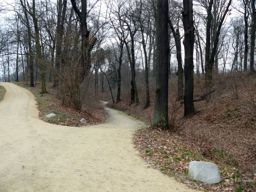 Trasy biegowe: Park Mużakowski, Mużaków, Niemcy