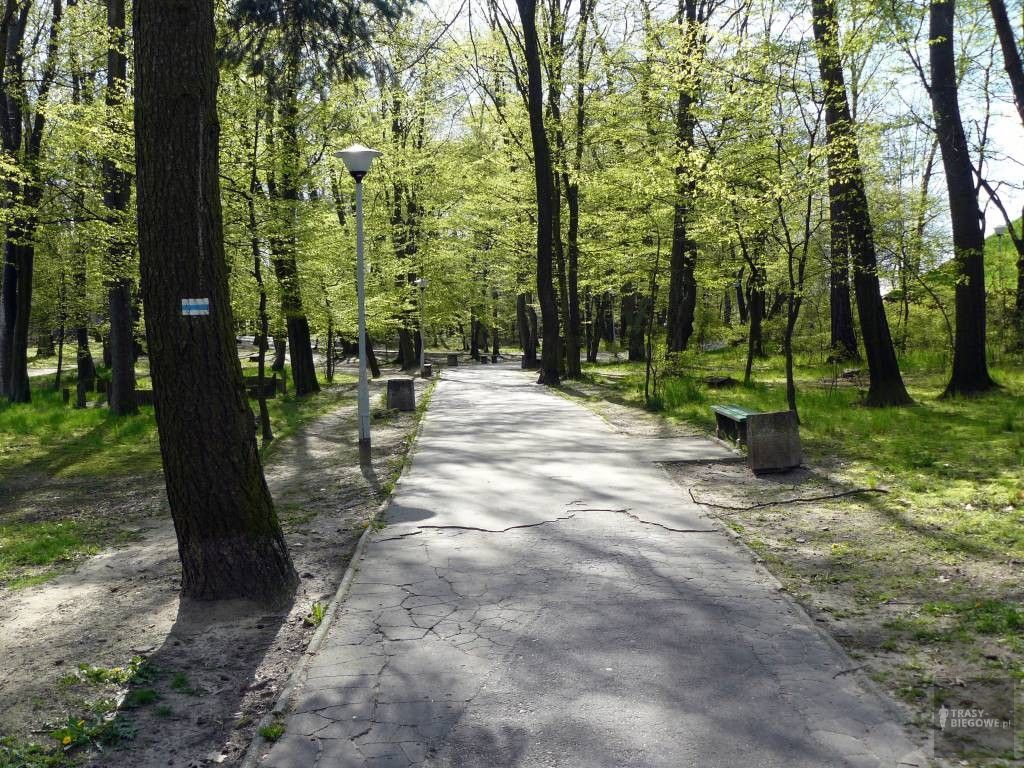 Trasy biegowe: Mała Piasta, Zielona Góra, woj. Lubuskie