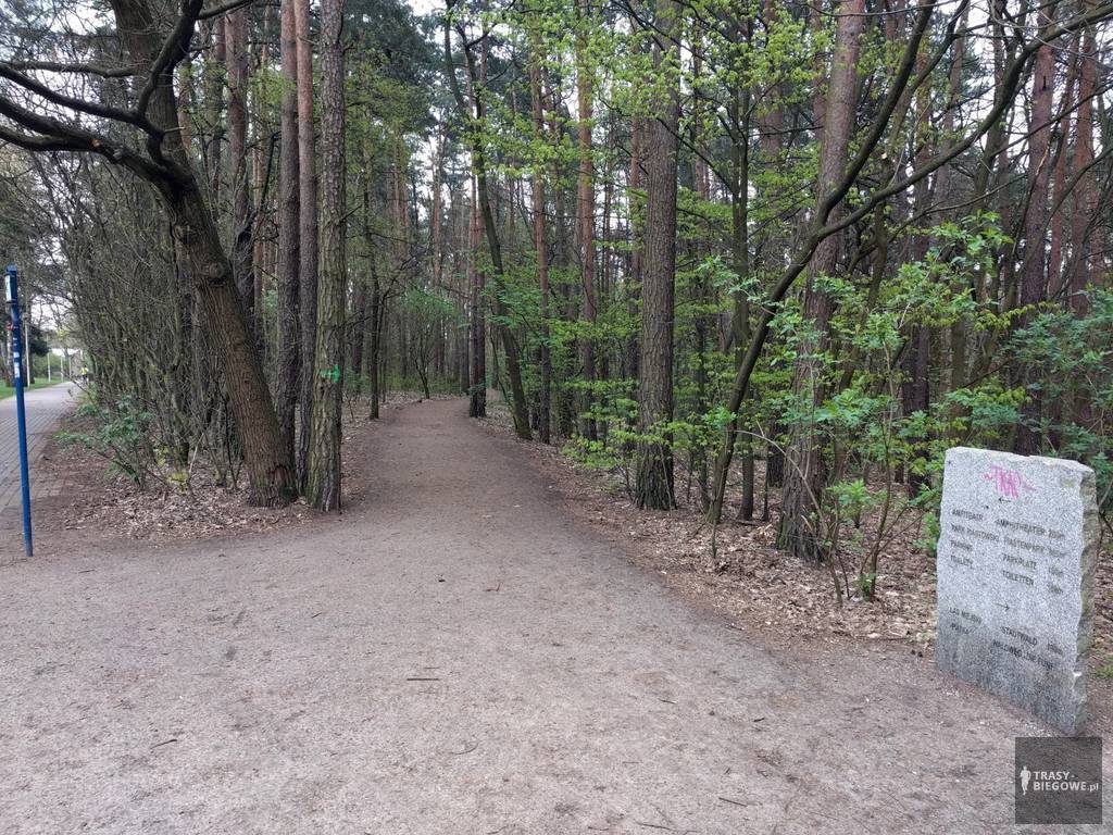 Trasy biegowe: Tarka, Zielona Góra, woj. Lubuskie